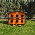 6'LI KEDİ EVİ