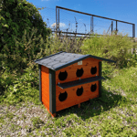 6'LI KEDİ EVİ