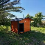 BÜYÜK IRK KÖPEK KULÜBESİ