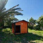 BÜYÜK IRK KÖPEK KULÜBESİ