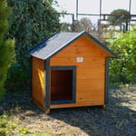ORTA IRK KÖPEK KULÜBESİ