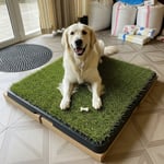 GreenPee Pro Akıllı Çim Tuvalet 40x60 cm | Köpek Eğitim Tuvaleti