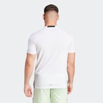 adidasIS3808LD4T TEE
