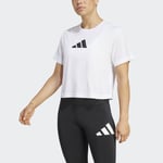 adidasJG8615LWE BL TEE