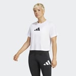adidasJG8615LWE BL TEE