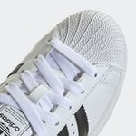 adidasJH7032355SUPERSTAR II W