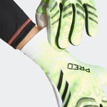 adidasJJ353210PRED GL PRO