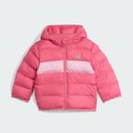 adidasJL739012-18AyI SD JKT