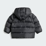 adidasJL917212-18AyI DY MM SD JKT