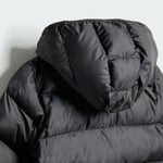 adidasJL917212-18AyI DY MM SD JKT