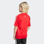 adidasJM08324-5YaşLK MRVL SM T