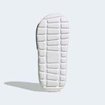 adidasJS253728ALTASWIM 3 C