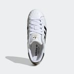 adidasJS4010355SUPERSTAR II W