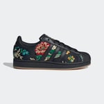 adidasJS404536SUPERSTAR II W