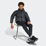 adidasJW239611-12YaşJ Z.N.E. JKT