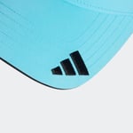 adidasJW6269OSFMMER DR CAP