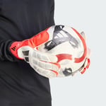 adidasJY631110PRED GL TRN