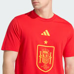 adidasJZ2263LFEF DNA GR TEE