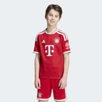adidasJZ309811-12YaşFCB H JSY Y