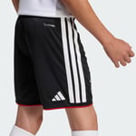 adidasJZ456211-12YaşDFB H SHO Y