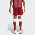 adidasKB826411-12YaşLFC H SHO Y
