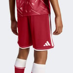 adidasKB826411-12YaşLFC H SHO Y