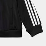 adidasKD102912-18AySST TS