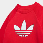 adidasKD104512-18AyTF CS