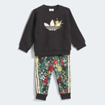 adidasKD341212-18AyCREW SET