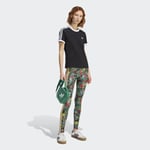 adidasKD5558M3S LEGGINGS