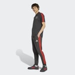 adidasKE6785LAU DNA P SS M