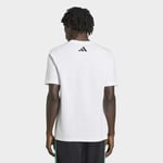 adidasKE8164LMER DNA GFTEE M
