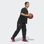 adidasKF3249LANTED FOUN PANT