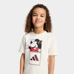 adidasKG612818-24AyLK DY MM T SET