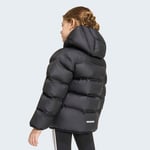adidasKH01984-5YaşLK SD JKT