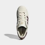adidasKI3570355SUPERSTAR II W