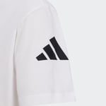 adidasKN2502LFILENIN SULTANLARI GRAP TEE M