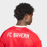 adidasKQ65132XLFCB H JSY