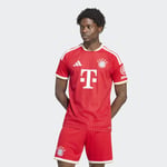 adidasKQ65132XLFCB H JSY