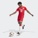adidasKQ65132XLFCB H JSY