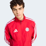 adidasKV6732LFCB H ANTH