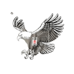 Beşiktaş Kartal-2 40x50 cm Büyük Sticker
