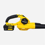 AKÜLÜ YAPRAK ÜFLEME 18V *AKÜSÜZ* RTRMAX X-LION