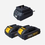 KÖMÜRSÜZ AKÜLÜ DARBELİ MATKAP 35Nm 20V 2x2 Ah AKÜ RTRMAX