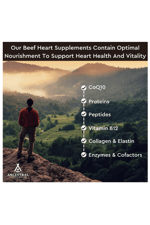 Ancestral Supplements Grass Fed Beef Heart  3300mg, CoQ10 and Mitochondrial Health, Non-GMO, 180 Capsules.