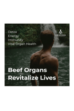 Ancestral Supplements Grass Fed Beef Organs (Desiccated) Liver,Heart,Kidney,Pancreas,Spleen 180 Capsul.Usa Menşei.60.