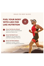 Ancestral Supplements Grass Fed Blood is Blood, Liver  Spleen Formula, 500mg Red  White Blood Cell Formation, Immune and Heart Health Support, 180 Capsul.Abd.