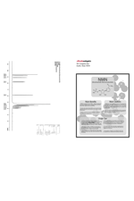 Austinootropics NMN Nicotinamide Mononucleotide Pure Potency 700mg  90 capsul.Made ın Usa.77.