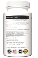 Austinootropics  Pramiracetam  500mg 100 Veg Capsul.Made ın Usa.85.