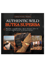 BASED Supplements ENHANCED BUTEA SUPERBA 30 Capsul.Abd Menşei.